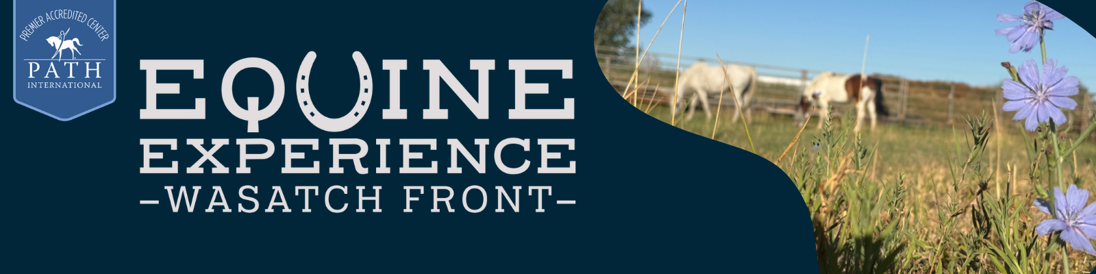 Equine Experience Wasatch Front. Path international premier accredited center.