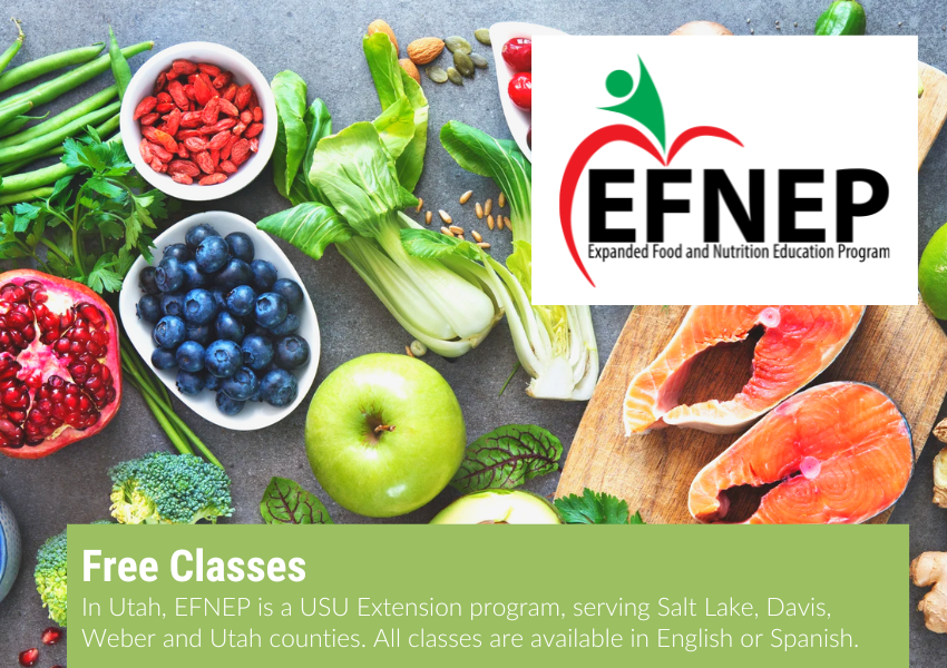 Image of fresh fruits and vegetables with EFNEP logo overlayed