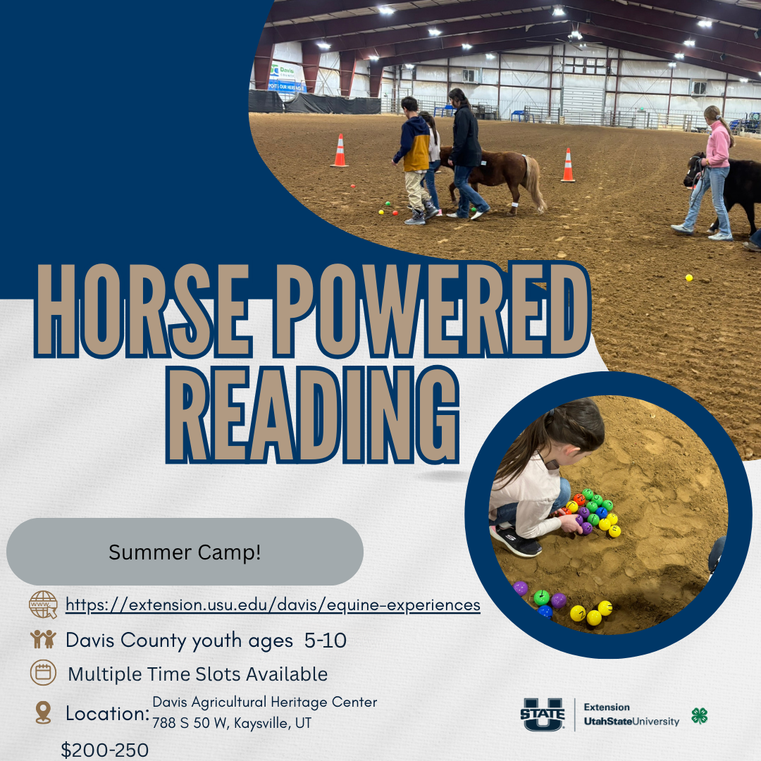 Horse Powered Reading Summer Camp! https://extension.usu.edu/davis/equine-experiences Davis County Youth ages 5-10, Multiple Time Slots Available. Location: Davis Agricultural Heritage Center. 778 S 50 W, Kaysville Ut. $200-250
