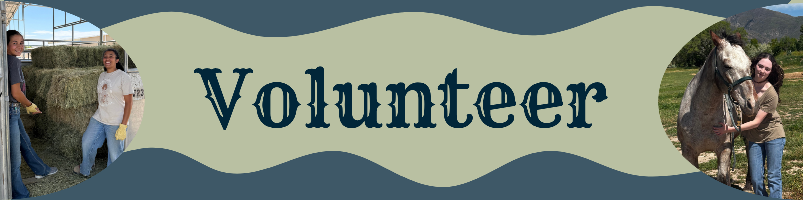 Volunteer