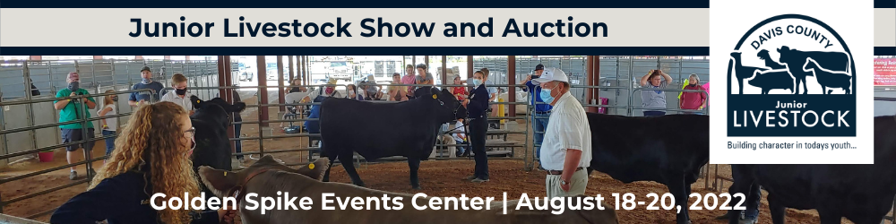 Graphic for livestock auction in August