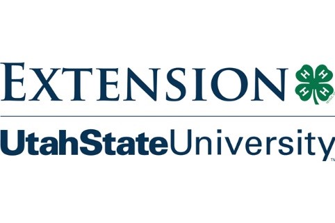 extension 4-h logo