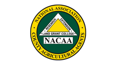 NACAA logo