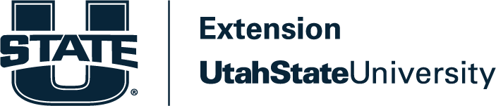 Main Extension Logo