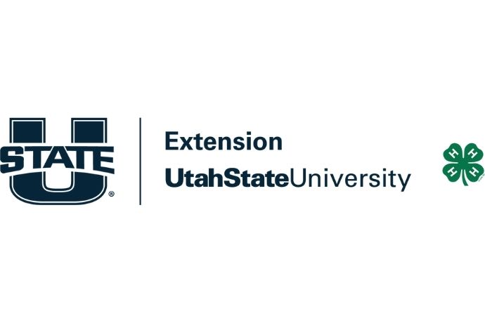 Main Extension Logo