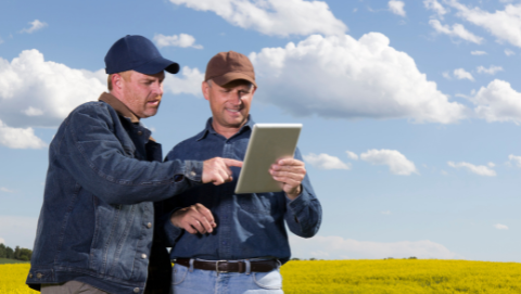 farmers standing in filed looking at ipad