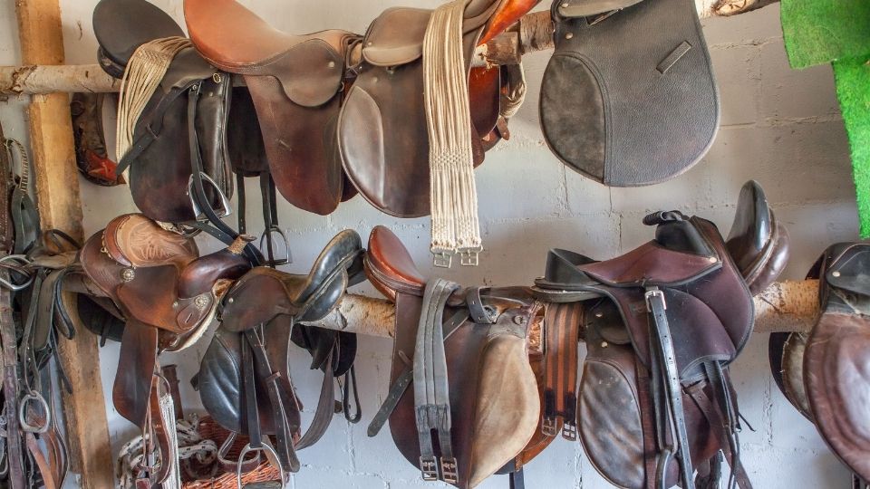 Inspecting and Buying a New or Used Saddle