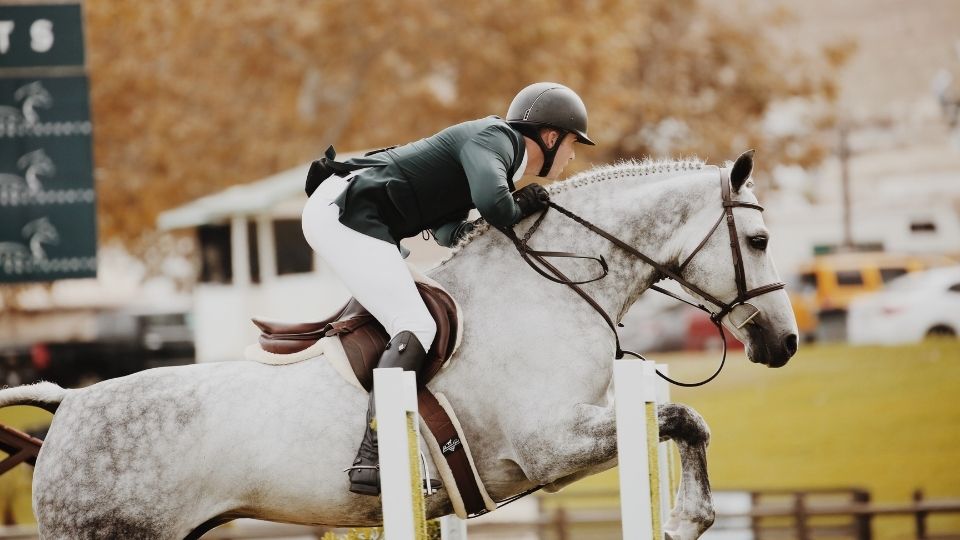 Helmets, Heads, and Health for Horse Enthusiasts