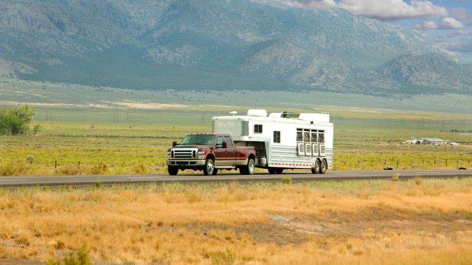 Requisitos para el Viaje de Caballos Dentro del Estado de Utah y de un Estado a otro