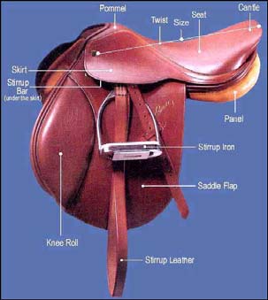 Saddle diagram