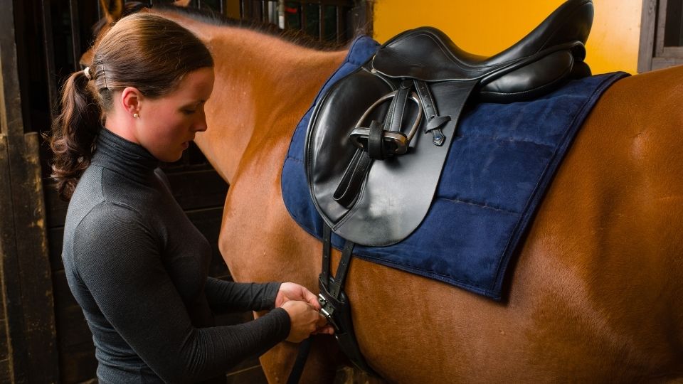 Selecting a Saddle to Fit the Rider