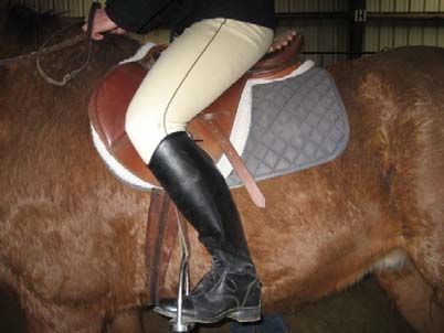 saddle too large