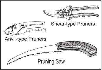 Diagram of anvil-type pruners, shear-type pruners, and a pruning saw.