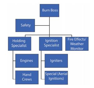 Typical organization on a prescribed fire. At the top is the Burn Boss. Below the Burn Boss is Safety. Below the Safety and Burn Boss but on equal levels are the Holding Specialist, Ignition Specialist, and Fire Effects/Weather Monitor. Below the Holding Specialist are the Engines and Hand Crews. Below the Ignition Specialist are the Igniters and Special (Aerial Ignitions).