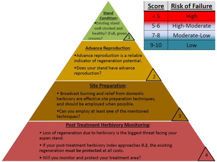 Graphic containing a pyramid accompanied by a table. The table headers are "Score" and "Risk of Failure". Row 1, "Score" : "less than 5 points"; "Risk of Failure" : "High". Row 2, "Score" : "5 to 6 points"; "Risk of Failure" : "High to Moderate". Row 3, "Score" : "7 to 8 points"; "Risk of Failure" : "Moderate to Low". Row 4, "Score" : "9 to 10 points"; "Risk of Failure" : "Low". The pyramid contains the following content. The uppermost tier, worth 1 point, says "Stand condition: Existing stand well-stocked and healthy? (Full, green crowns?)" The second tier, worth 2 points, says "Advance Reproduction: Advance reproduction is a reliable indicator of regeneration potential. Does your stand have advance reproduction?" The third (second-lowest) tier, worth 3 points, says "Site preparation: Broadcast burning and relief from domestic herbivory are effective site preparation techniques, and should be employed when possible. Can you employ at least one of the mentioned techniques?" The fourth and lowest tier, worth 4 points, says "Post Treatment Herbivory Monitoring: Loss of regeneration due to herbivory is the biggest threat facing your aspen stand. If your post-treatment herbivory index approaches 0.2, the existing regeneration must be protected at all costs. Will you monitor and protect your treatment area?"