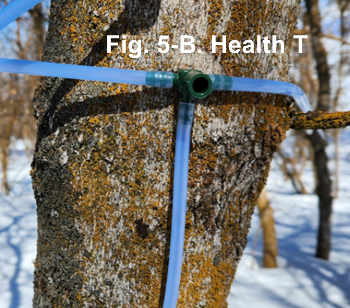 Blue tubing connected in a "T" shape around a tree. Text reads "Fig. 5-B. Health T"