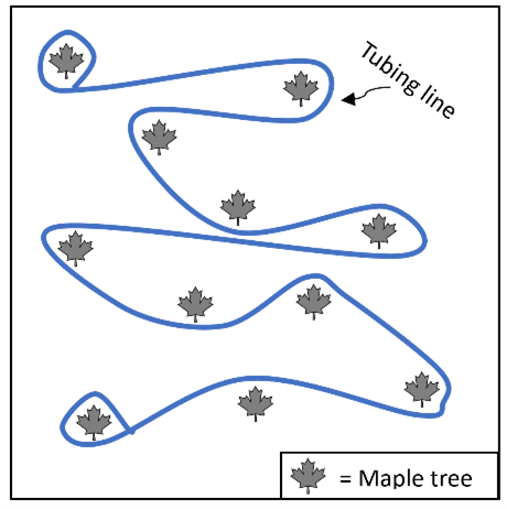 A diagram with many trees and a blue line (representing the tubing line) weaving around