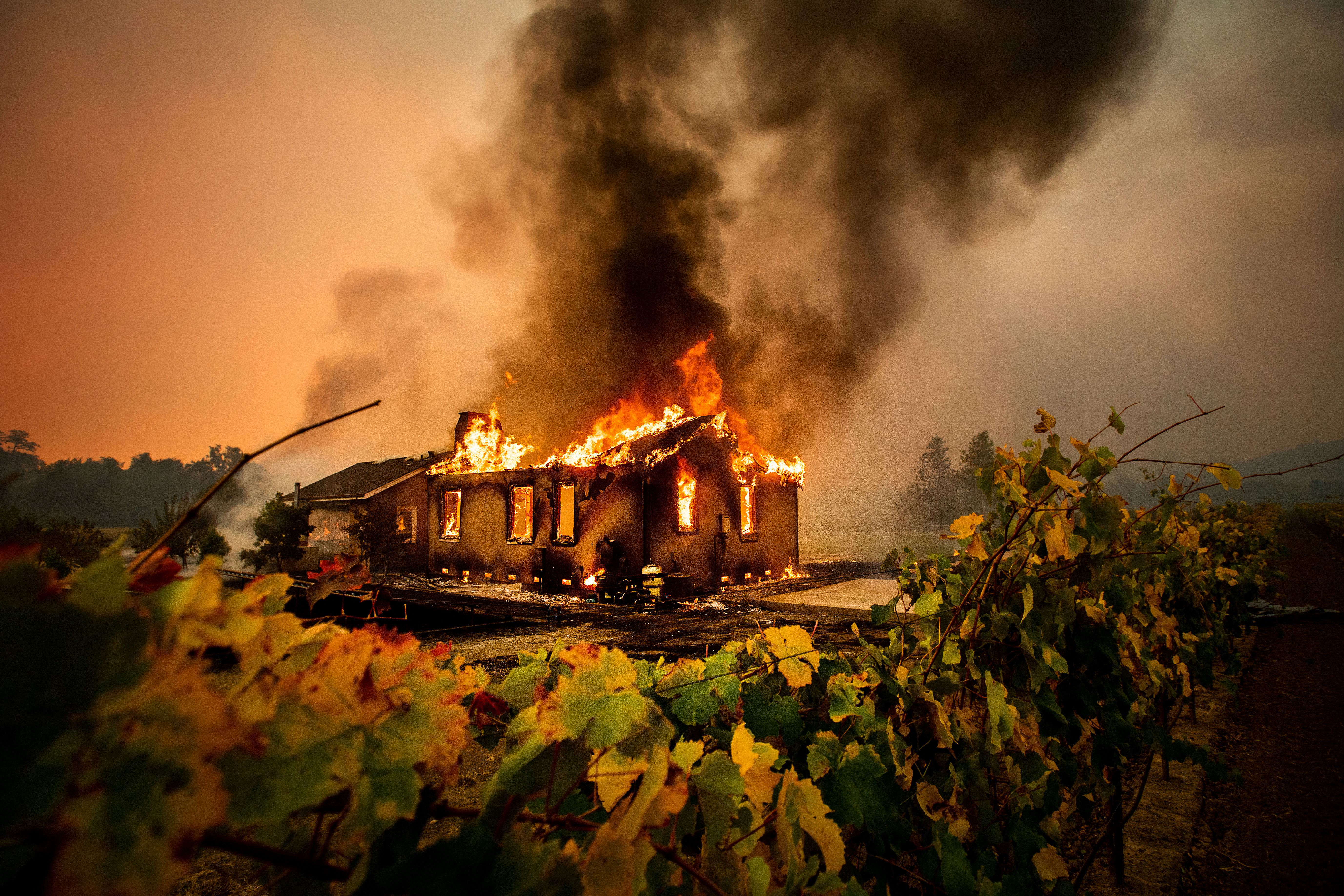 A plume of smoke rises from a burning house. A fence with green vines in the foreground.