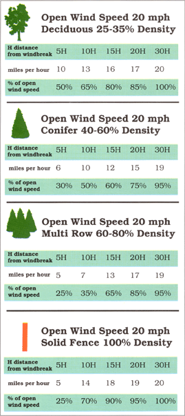 1.Open Wind Speed 20 mph. Deciduous 25-35% Density. 5H distance from windbreak with 10 miles per hour wind is 50% of open wind speed. 10H distance from windbreak with 13 miles per hour wind is 65% of open wind speed. 15H distance from windbreak with 16 miles per hour wind is 80% of open wind speed. 20H distance from windbreak with 17 miles per hour wind is 85% of open wind speed. 30H distance from windbreak with 20 miles per hour wind is 100% of open wind speed. 2. Open Wind Speed 20 mph. Conifer 40-60% Density. 5H distance from windbreak with 6 miles per hour wind is 30% of open wind speed. 10H distance from windbreak with 10 miles per hour wind is 50% of open wind speed. 15H distance from windbreak with 12 miles per hour wind is 60% of open wind speed. 20H distance from windbreak with 15 miles per hour wind is 75% of open wind speed. 30H distance from windbreak with 19 miles per hour wind is 95% of open wind speed. 3. Open Wind Speed 20 mph. Multi Row 60-80% Density. 5H distance from windbreak with 5 miles per hour wind is 25% of open wind speed. 10H distance from windbreak with 7 miles per hour wind is 35% of open wind speed. 15H distance from windbreak with 13 miles per hour wind is 65% of open wind speed. 20H distance from windbreak with 17 miles per hour wind is 85% of open wind speed. 30H distance from windbreak with 19 miles per hour wind is 95% of open wind speed. 4. Open Wind Speed 20 mph. Solid Fence 100% Density. 5H distance from windbreak with 5 miles per hour wind is 25% of open wind speed. 10H distance from windbreak with 14 miles per hour wind is 70% of open wind speed. 15H distance from windbreak with 18 miles per hour wind is 90% of open wind speed. 20H distance from windbreak with 19 miles per hour wind is 95% of open wind speed. 30H distance from windbreak with 20 miles per hour wind is 10% of open wind speed.
