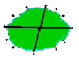 diagram showing crown spread of a tree