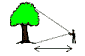 Diagram of how to measure the height of a tree