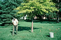 Man applying ferrous sulfate and granular sulfur to a tree