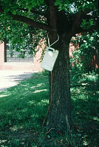 Injection with tubing and reservoir on a tree
