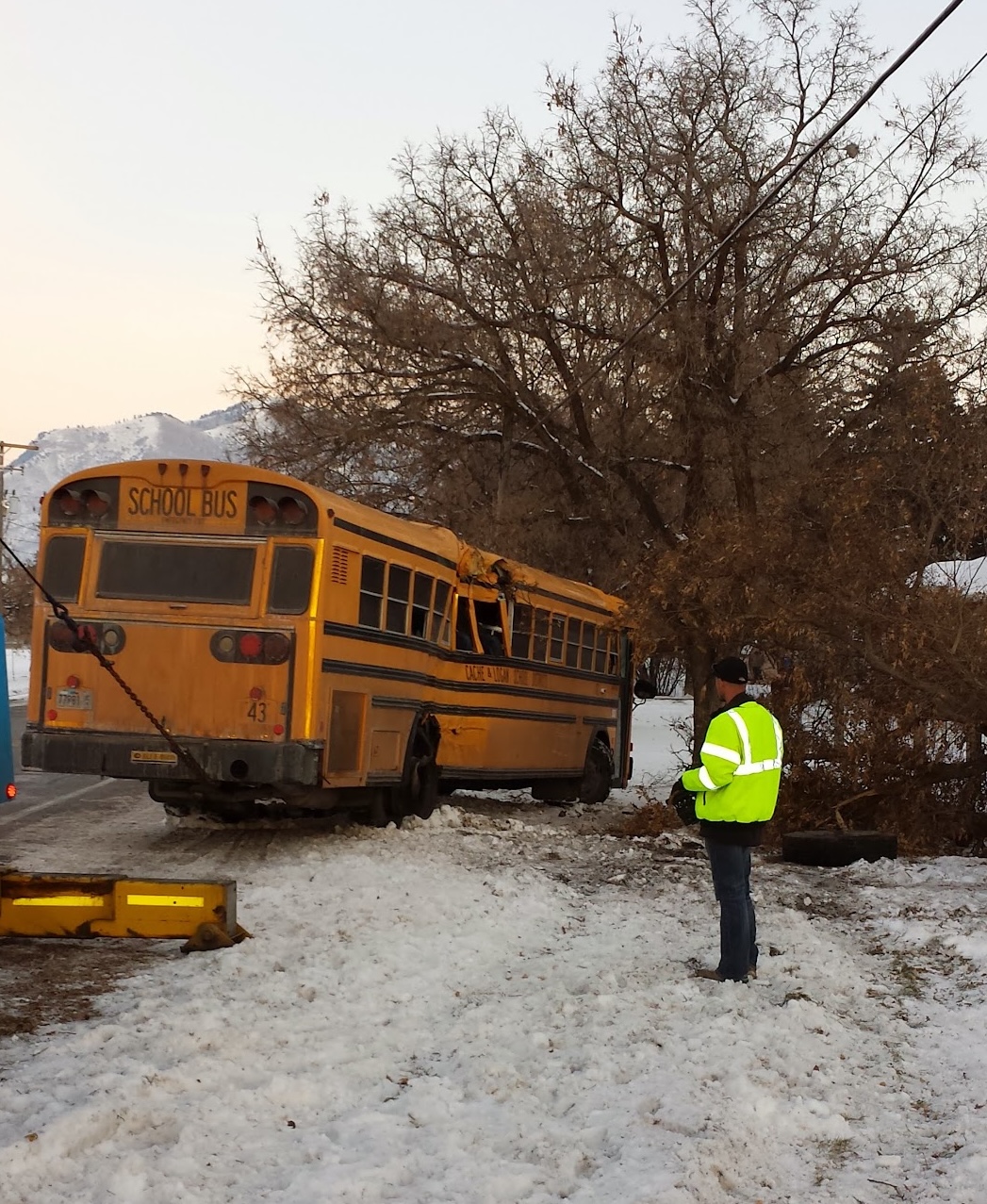 A bus crashed onto a tree on the side of the road in the snow.