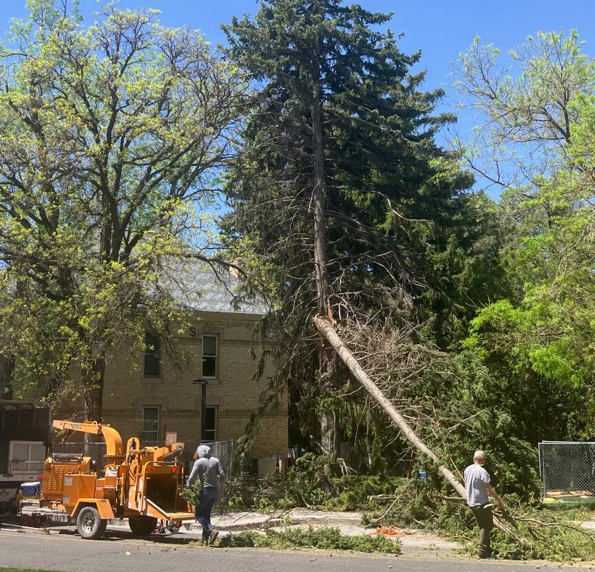 Workers removing a fallen tree on USUs campus, with tree debris and equipment on the sidewalk.