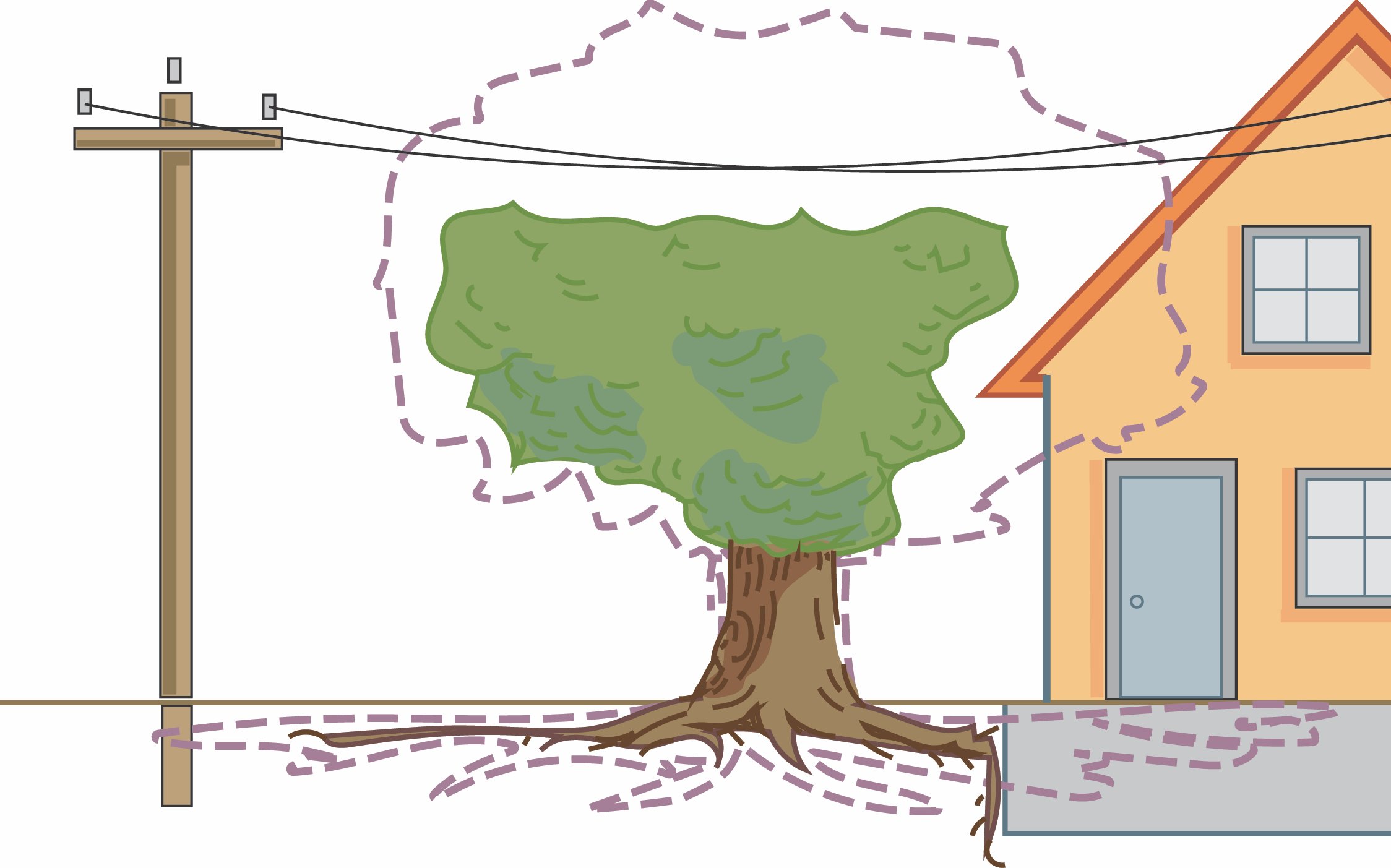 Illustration showing a tree growing near a house and utility lines, with dashed outlines indicating the tree’s functional limitations and surrounding space.