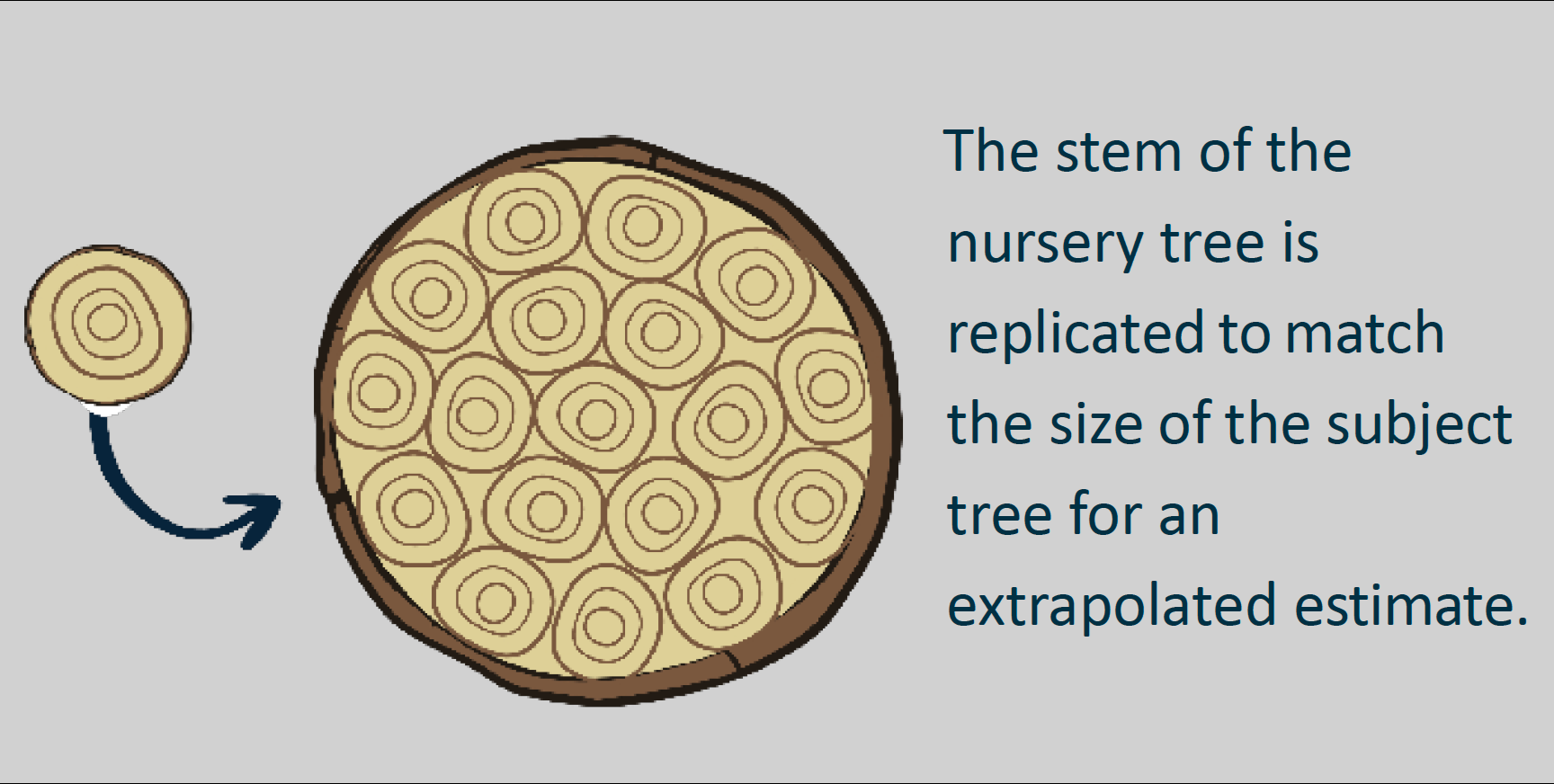 Diagram showing a cross-section of a nursery tree stem alongside a smaller cross-section, with an arrow indicating the smaller stem is replicated to match the subject tree size for an extrapolated estimate.