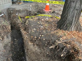 A trench near a tree that has cut into the trees.