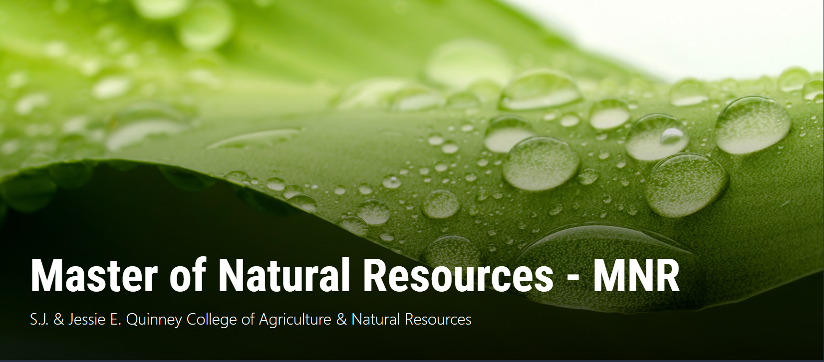 Masters Natural Resources