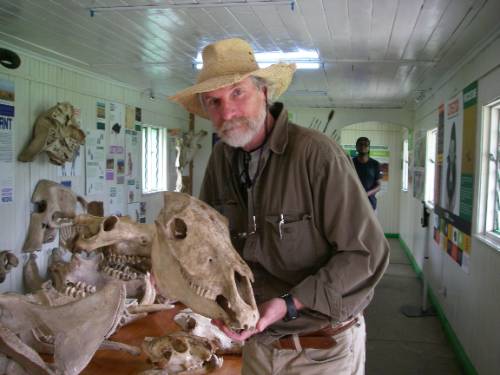 david skull