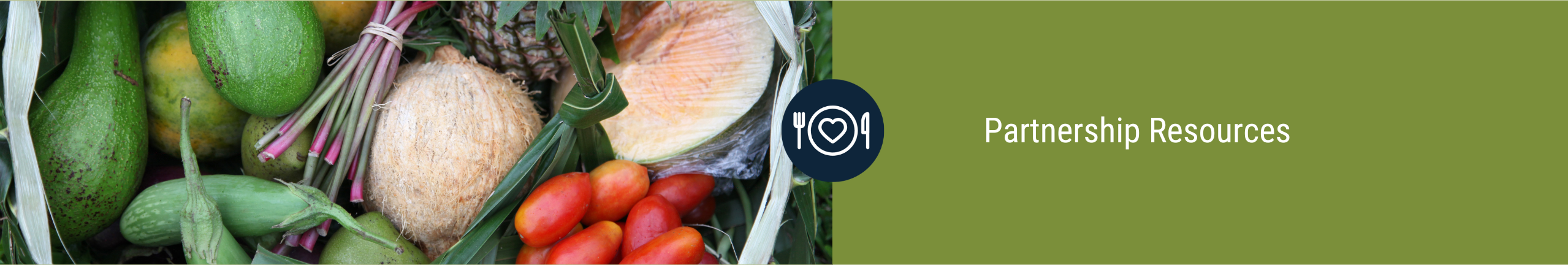 Partnership Resources