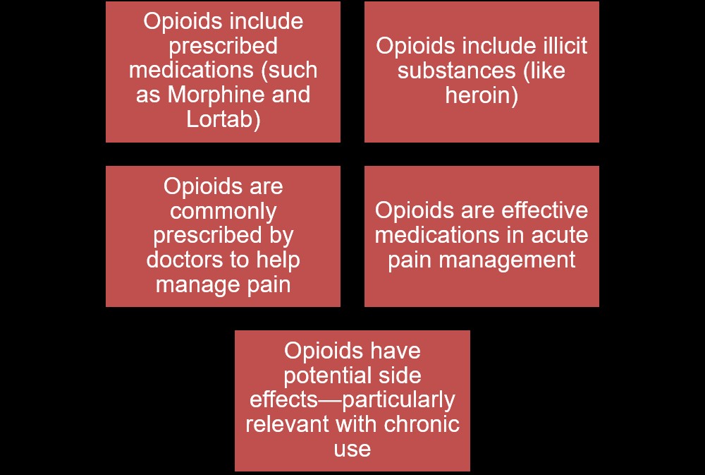 Figure 1 Opioid Quick Facts