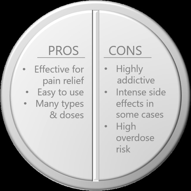 Figure 2 Pros and Cons