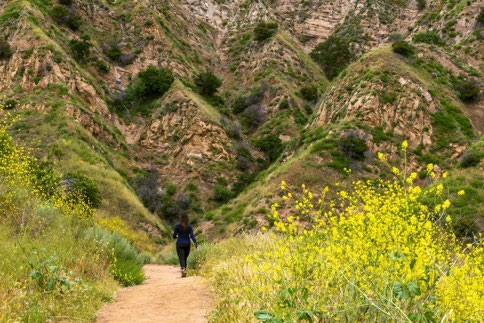 A women walking on a path towards green mountains