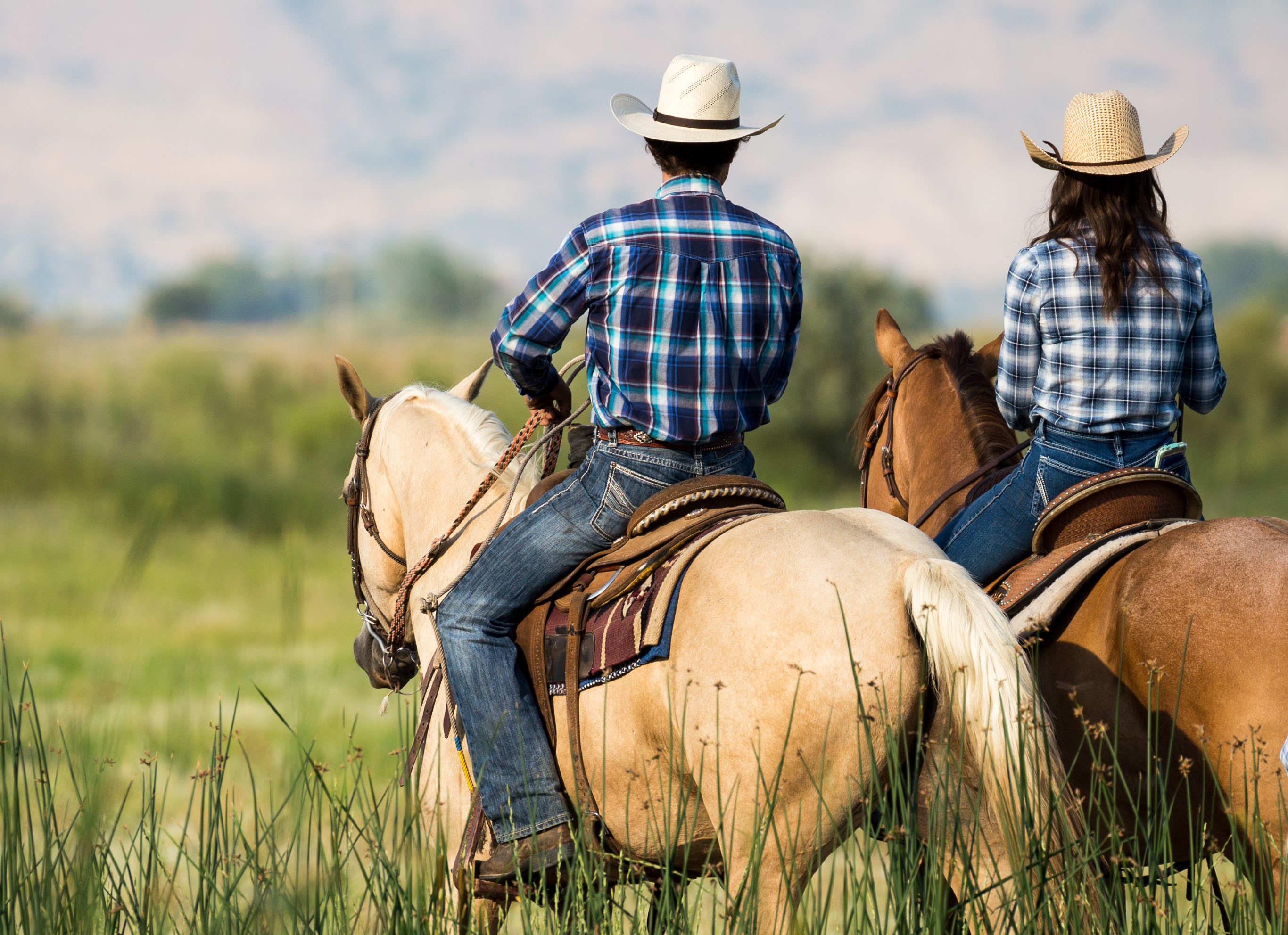 the back view of two ranchers on horses looking out over a field