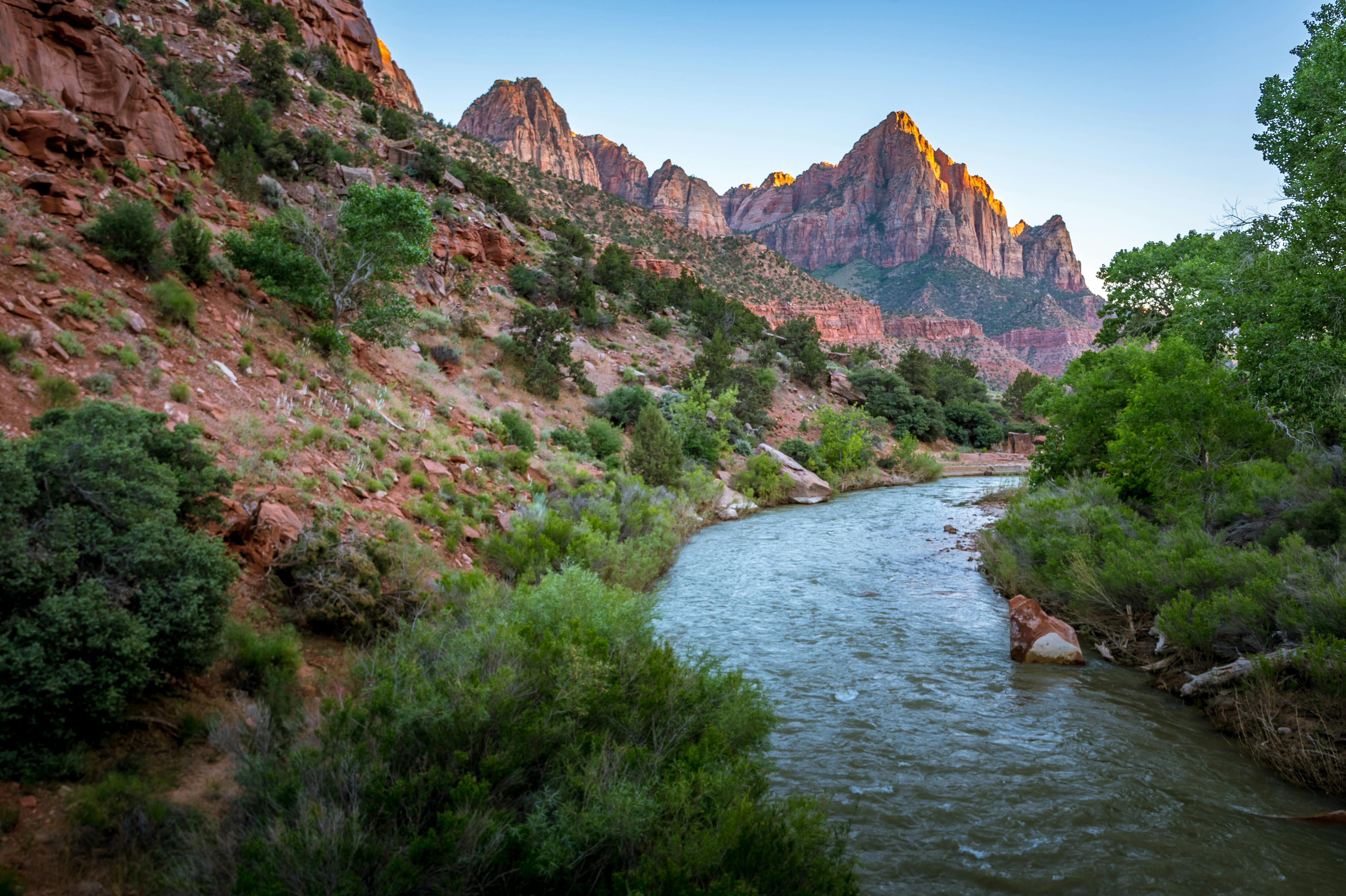 The Virgin River in Zion National Park with mountains in the background