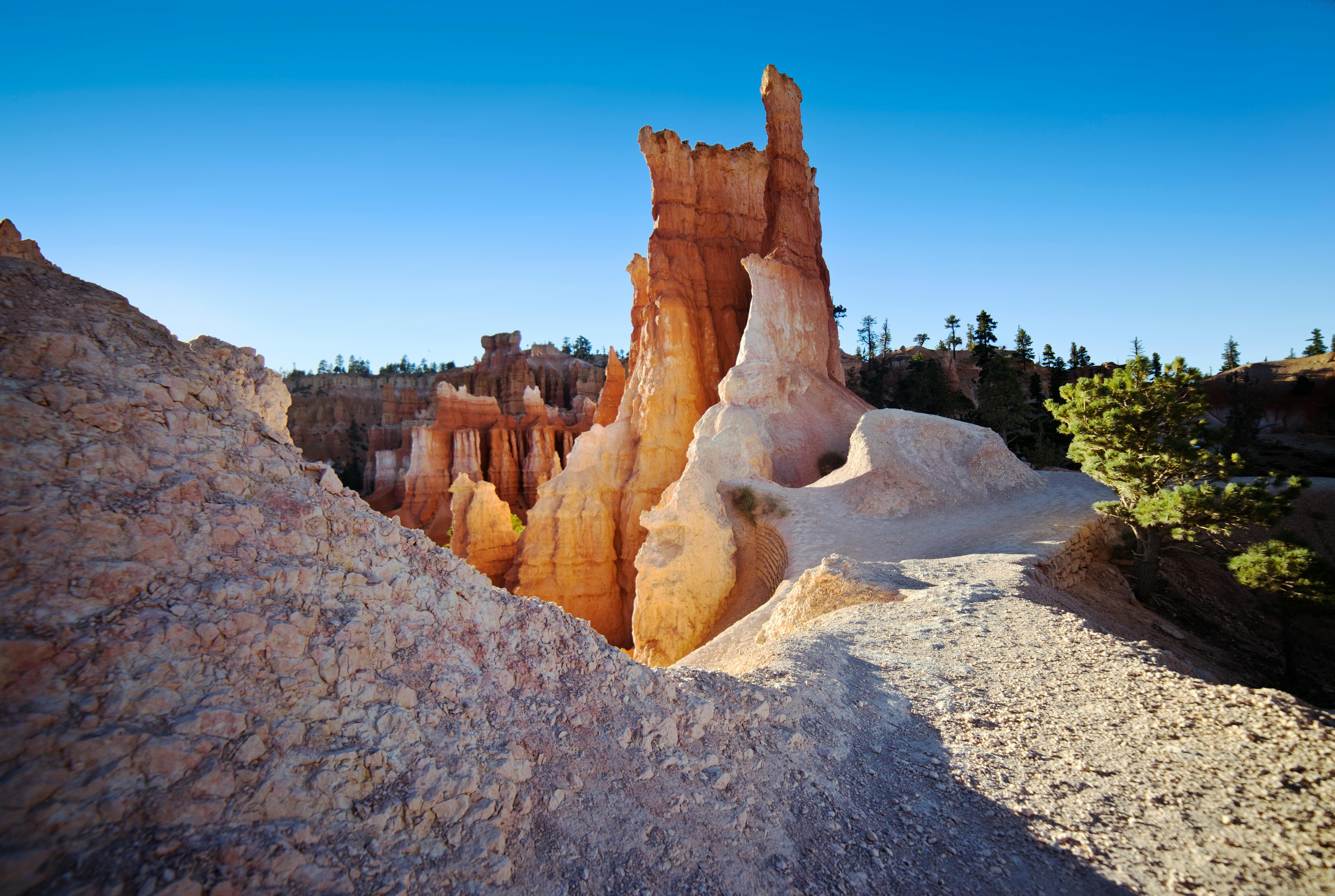 hoodoos on a trail in bryce canyon national park