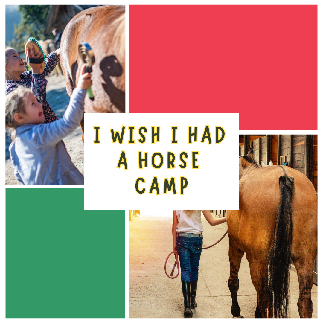 kids brushing a horse