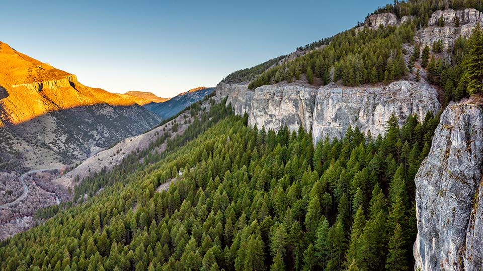 Stone cliffs and evergreen trees with winding highway and sunlit golden peaks in background in Logan Canyon