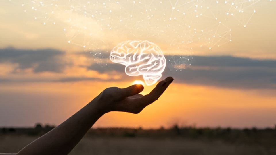 A hand with a hologram of a brain with a sunset background