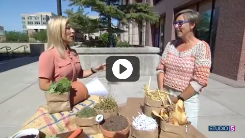 Garden Composting 101: Here Are the Basics to Making Your Own Compost