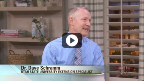 Warning Signs of ‘Unfaithful Friendships’