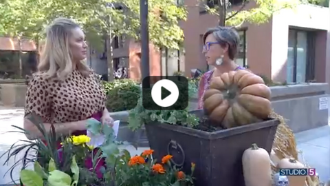 Broccoli in Your Porch Pots?! Fill Your Fall Planters With Colorful Veggies and Flowers