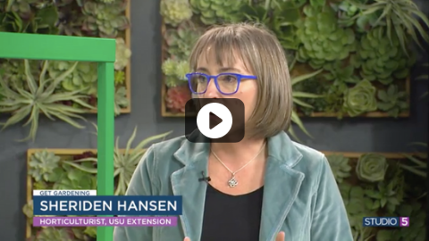 Start Seeds the Right Way With This Expert Advice