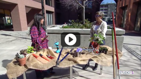 Add new garden gear to your tool belt! These 9 things are the best gadgets on the market