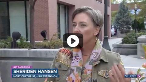 Fall Gardening Checklist: 7 Things to Do to Get the Yard Ready for Next Spring